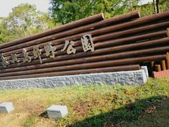 -上海长兴岛郊野公园