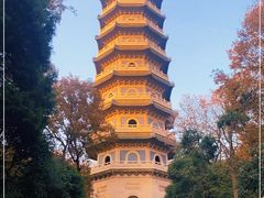 -灵谷景区