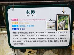 -合肥野生动物园