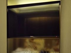 -必胜客(东西湖万达店)