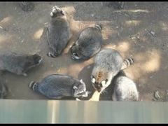-秦皇岛野生动物园