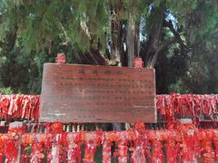 -四门塔风景区