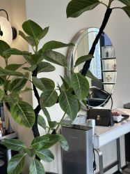 -凯博K-boom Hair Salon