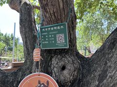 -吉姆冒险世界(蓟州店)