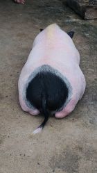 -金庭庄园酒店彩虹厅