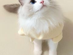 -荔康动物医院(康王北路店)