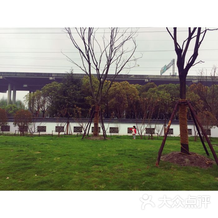 金塔公园-图片-上海周边游-大众点评网