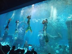 -哈尔滨波塞冬海底世界