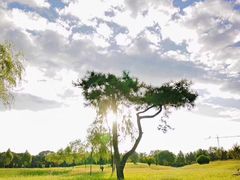 -众旺烙糕宴(悼陵监店)