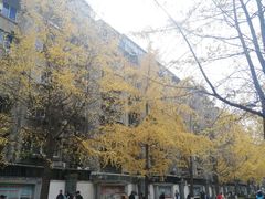 -四川大学(望江校区)