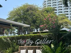 -网红落日悬崖餐厅 The Sky Gallery