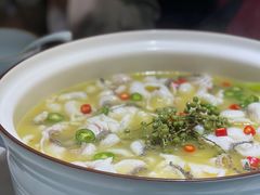 青花椒味砂锅鱼-青花椒花椒鱼(合生汇店)