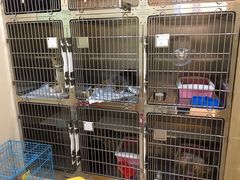 -芭比堂动物医院·24小时·眼科中心(深圳中心)