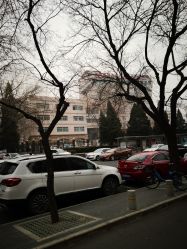 -北京妇产医院(东院)