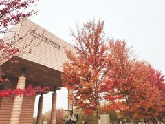 -清华大学艺术博物馆