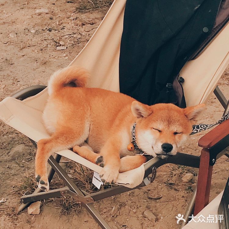 第一次露营体验⛺️