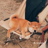 第一次露营体验⛺️