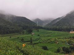 -听风阁农家私房菜茶楼(龙坞店)