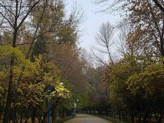 -森林公园(尖草坪区)