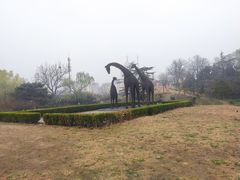 -莲花池公园