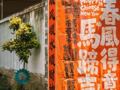 -溪岸路花鸟市场