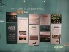 -中国湿地博物馆
