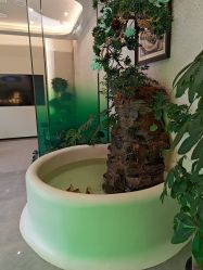 -卡尔诗·科技美肤连锁