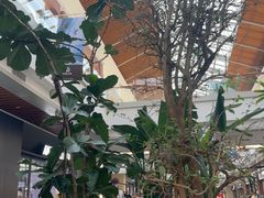 -王府井奥莱棋盘山小镇