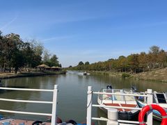 -合肥滨湖国家森林公园