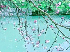 -南汇桃花村