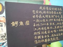 -集美学村
