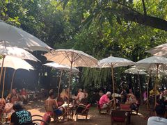 -Fern Forest Cafe