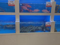 -一品滇香·云南菜(公益西桥店)