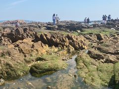 -青岛第二海水浴场