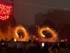-武汉园博园(武汉自然博物馆)