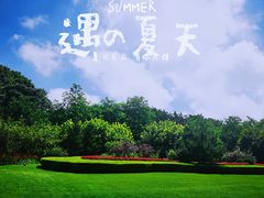 -棒棰岛宾馆景区