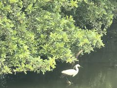 -厦门园林博览苑