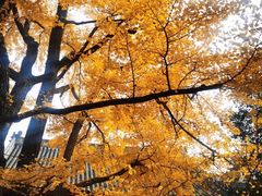 -红螺寺