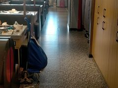 大堂-龍歌自助小火锅(市南金茂湾店)