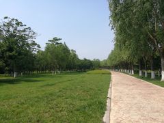 -鉴湖国家城市湿地公园