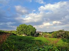 -中国茶叶博物馆(双峰馆区)