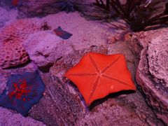 -沈阳海洋探索中心