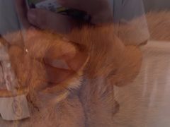 -贝康宠物医院·犬猫全科·小动物特色诊疗中心(东环路店)