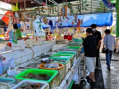 -外伶仃岛海鲜市场