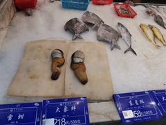 -国惠大酒楼(宝龙店)