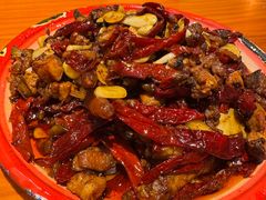 -柴窝堡22号辣子鸡·传承新疆菜