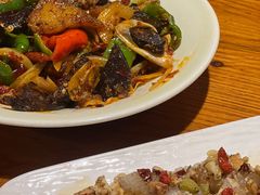 -柴窝堡22号辣子鸡·传承新疆菜