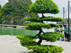 -天宫洞