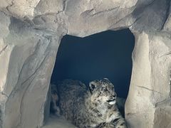 -青藏高原野生动物园