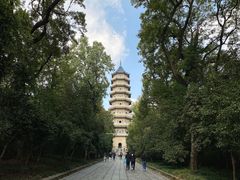 -灵谷景区